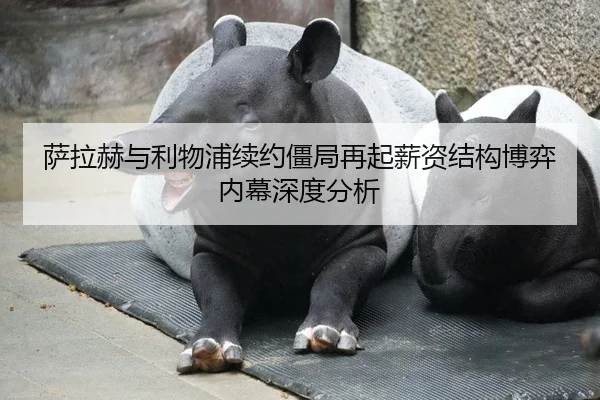 萨拉赫与利物浦续约僵局再起薪资结构博弈内幕深度分析